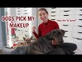 MY DOGS PICK OUT MY MAKEUP