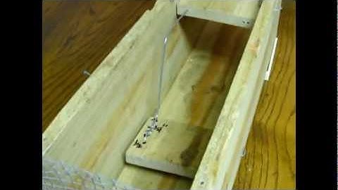 Homemade Trap for Rabbits or Squirrels