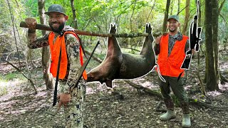 Caza De Puerco Salvaje En Pantano Publico