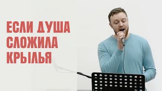 Артем Земцов. Если Душа Сложила Крылья...