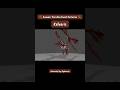 Kelvaris buried among sun-dried foliage arrives #creaturesofsonaria #roblox
