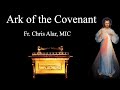 Explaining the Faith - Ark of the Covenant: Typology of Mary ?