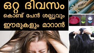 Top 7 Home Remedies To Get Rid Of Head LICE & Nits |ഒറ്റ ദിവസം കൊണ്ട് പേൻശല്യവും താരനും മാറ്റാം