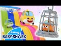 Let's Rescue William with Baby Shark! | Learn Colors in 3D | Baby Shark Toy | Baby Shark Official