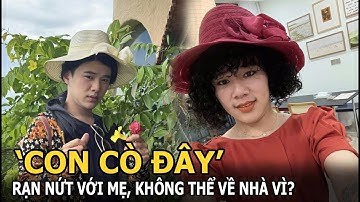 ‘Con cò đây’ rạn nứt với mẹ, không thể về nhà vì?