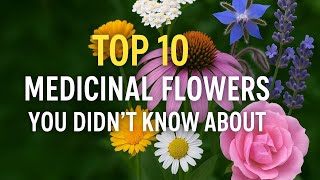 Top 10 Medicinal Flowers You Didn’t Know About | Amazing Health Benefits!