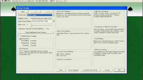 Bridge Baron Tutorial - Selecting a Preset Pair Profile