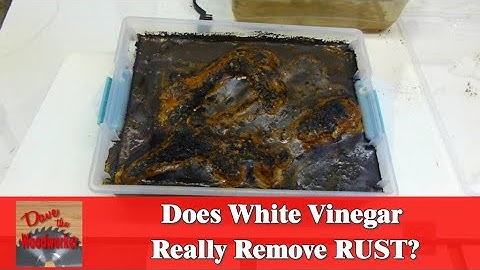 Does White Vinegar Really Remove RUST?