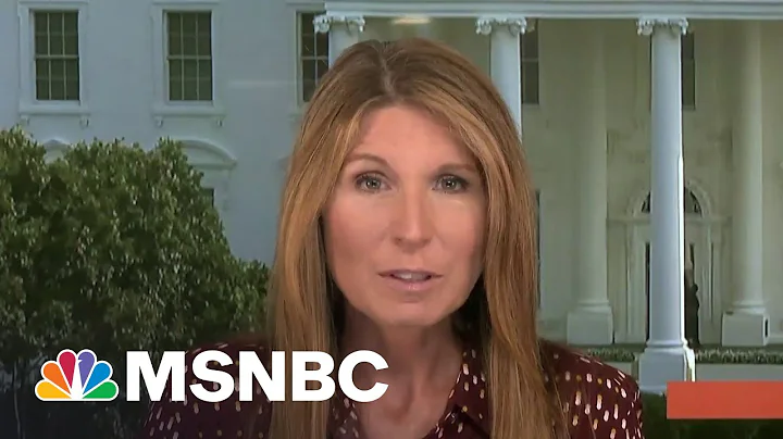 Nicolle Wallace: The GOP Is Essentially Running On...