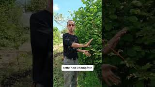 Conseils de Florent pour accueillir la biodiversité dans son jardin