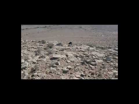 مثلث متساوي الأضلاع أسراره وكنوزه الجزء الأخير 