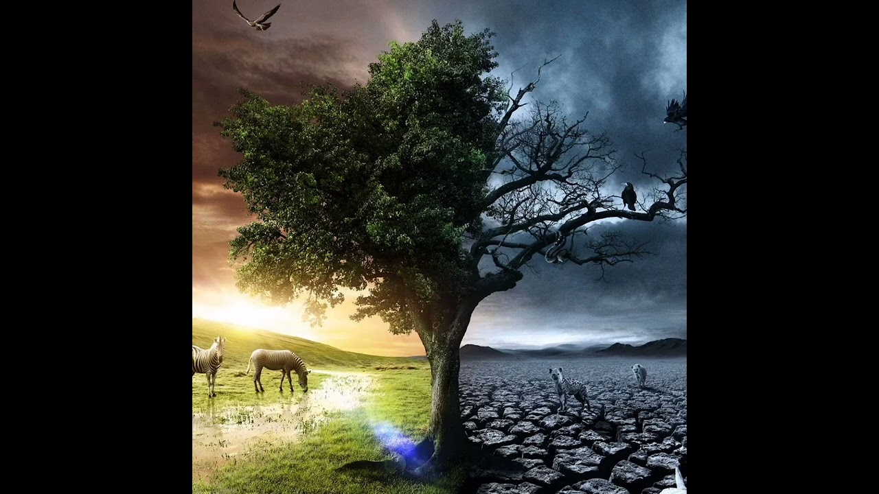 Между жизнью и смертью.