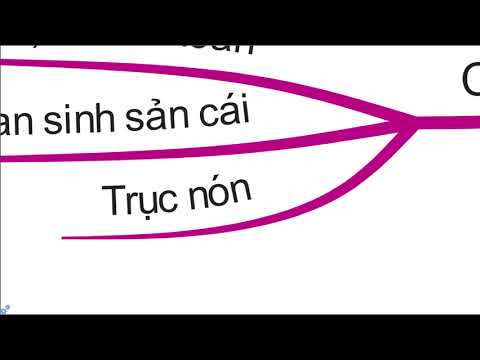 Video: Cây Hạt Trần Là Cây Gì