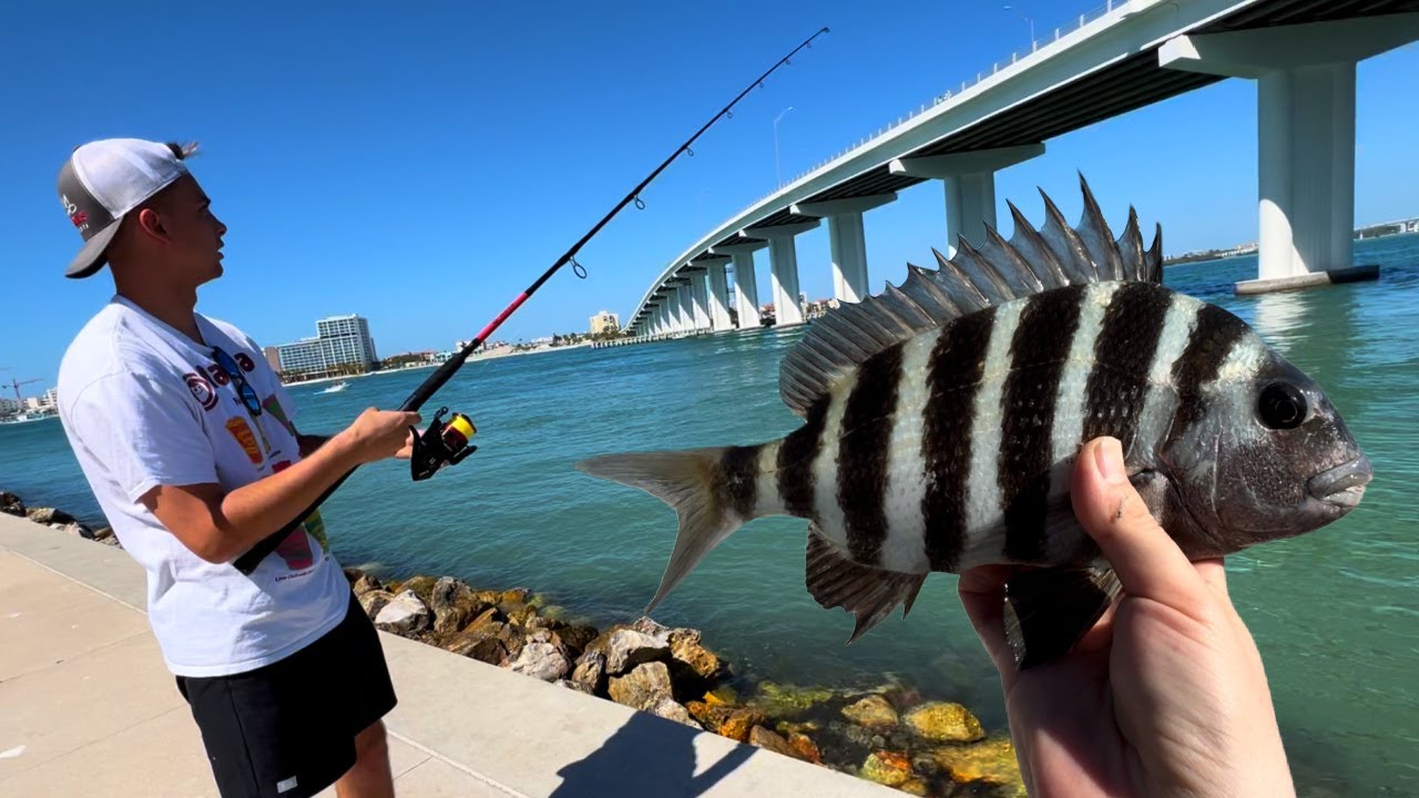Shore fishing around Tampa Florida! YouTube