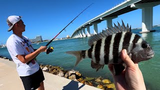 Shore fishing around Tampa Florida!