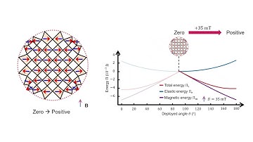 Physics-aware differentiable design of magnetically actuated kirigami for shape morphing: Video 5