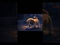 Small Moment, A Calm Feeling#shorts#video#EmotionalShorts#PuppyStory#SilentStory#Heartwarming