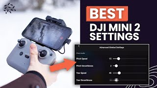 DJI Mini 2 BEST SETTINGS 2022 - Get The Most Cinematic Footage Out Of Your Drone screenshot 4