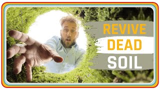 REGENERATE SOIL LIFE | DIGGING DEEPER SERIES