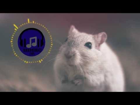 Progressive House FEWZ Starry Eyed