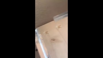 Shapeoko 3 First Cut