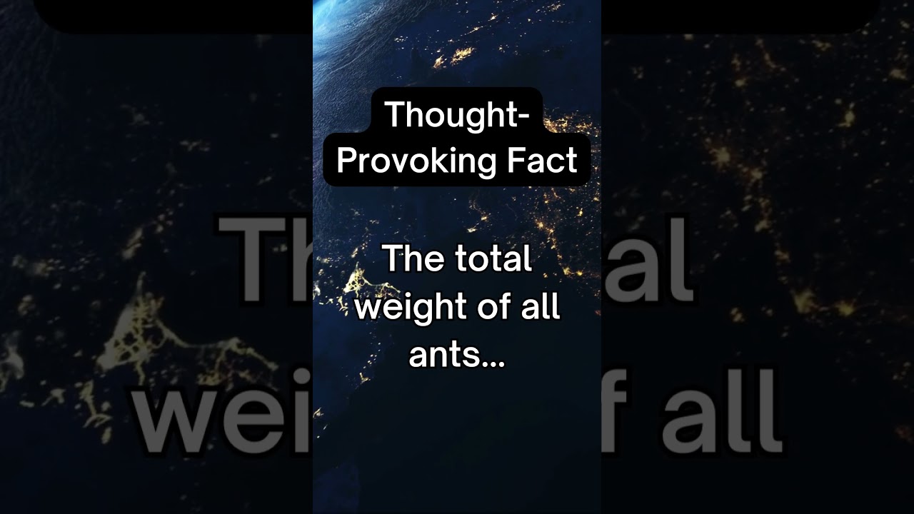 Thought Provoking Fact That Will Make You Wonder 