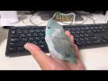独り言を言うようになりました。