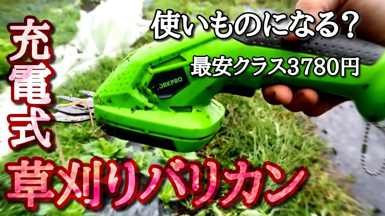 植木周りの芝も素早くキレイに刈れる「充電式ポールバリカン」 - YouTube