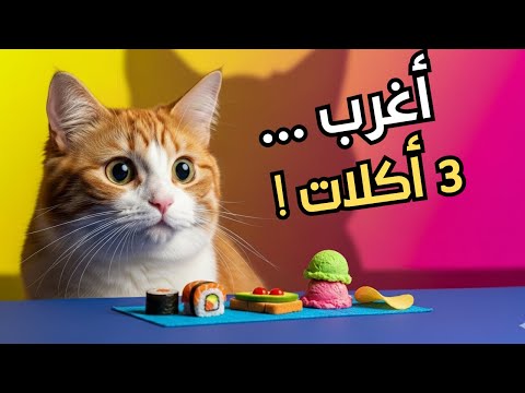 لن تصد ق 3 أكلات منزلية تعشقها قطتك والأخيرة ستصدمك فعلا قطه