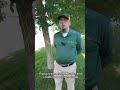 Mushrooms in Your Lawn