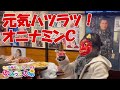 毎晩オニナミンC