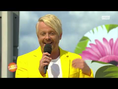 Ross Antony Liebeskummer Lohnt Sich Nicht Die Schönsten Sommerhits Ross Antony Liebeskummer Lohnt Sich Nicht Die Schönsten Sommerhits