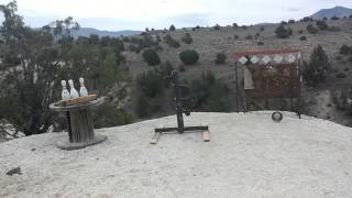 44 mag testing MOA Target's dueling tree (SHOWDOWN)