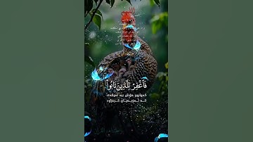 تلاوة خاشعة عطرة مباركة جميلة عذبة للشيخ خالد الجليل ماتيسر من سورة غافر
