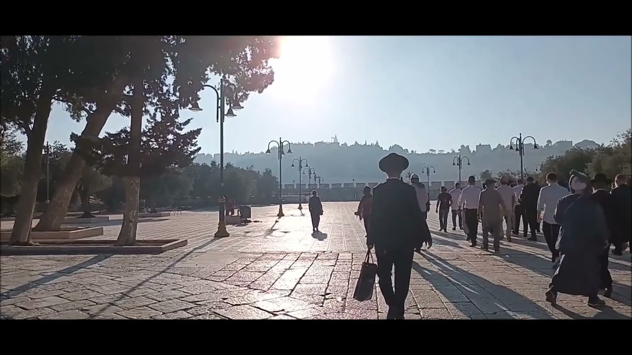 Kindness Needed  To Build The Temple TORAH on The Temple Mount