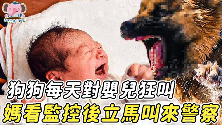 狗狗每天對著嬰兒狂叫，媽媽不解查看監控，嚇到立馬叫來警察....... |#狗狗 #狗 #動物 #嬰兒 #孩子 #媽媽 #監控 #監視器 #警察 - 天天要聞