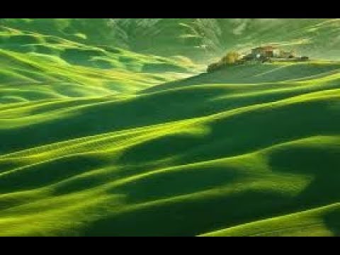 فيديو: المروج (80 صورة): الأنواع - عالمية ومرج ، ما هو ، أيهما أفضل للزراعة ، مروج خضراء زخرفية جميلة