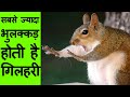 13 Interesting Facts | Most Amazing facts in Hindi