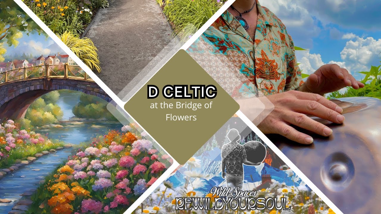 D Celtic Handpan at Bridge of Flowers-Fall View