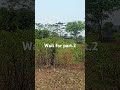 medak district toopran mandal NH 44 hiway to jast for 3.km.lo.2 acar for acar 2.CR 10.lak 9603608763