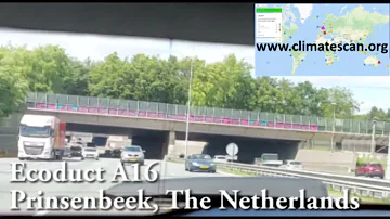Ecoduct A16 Prinsenbeek, The Netherlands