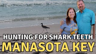 Lots of Shark Teeth and a HUGE Jelly Fish on Blind Pass Beach | Manasota Key, Florida.