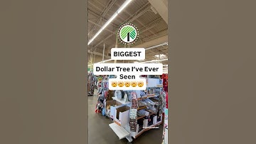 Biggest Dollar Tree I’ve EVER Seen #dollartreefinds #dollartree