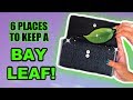 6 PLACES TO KEEP A BAY LEAF! ATTRACT MONEY, ENHANCE LOVE, PROTECTION & MORE
