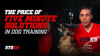 The Price Of Five Minute Solutions In Dog Training