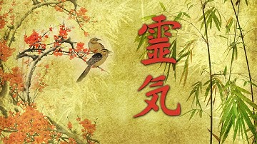 Thumbnail of Reiki Music, Energy Healing, Nature Sounds, Zen Meditation, Chakra Healing