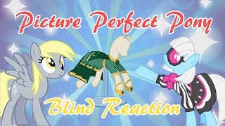 Picture perfect pony - blind reaction