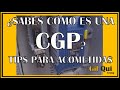 CGP, INSTALACION DE ENLACE Y ACOMETIDA A VIVIENDA, saber si el FUSIBLE está QUEMADO ¿Qué es una CGP?