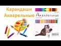 Акварельные карандаши Джик-Турбо, 48 цветов с Озона, урвал за 374р.