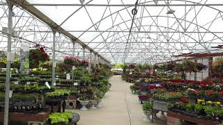 Yard 'n Garden Land Greenhouse in May